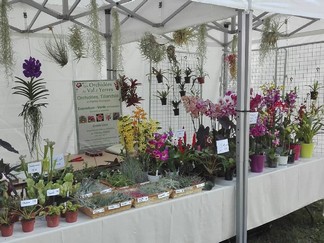 "Village nature et environnement" à Antony